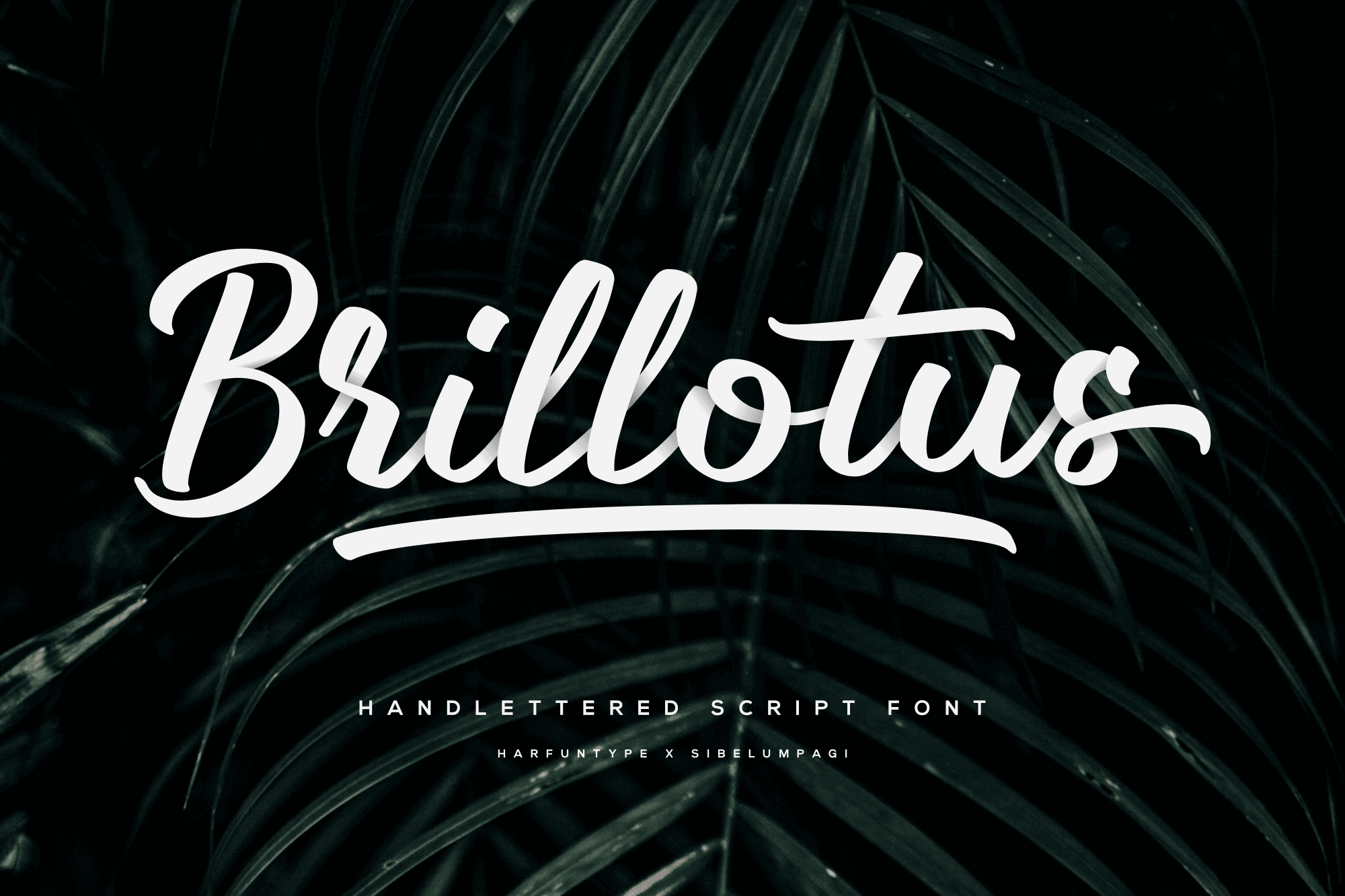 Brillotus - Script Font product preview image by Sibelumpagi