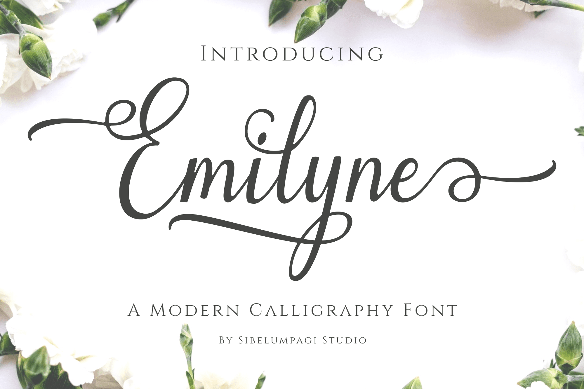 Emilyne - Calligraphy Font product preview image by Sibelumpagi
