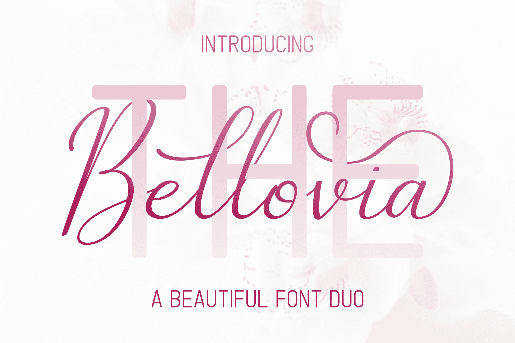 The Bellovia - Font Duo product preview image by SibelumPagi