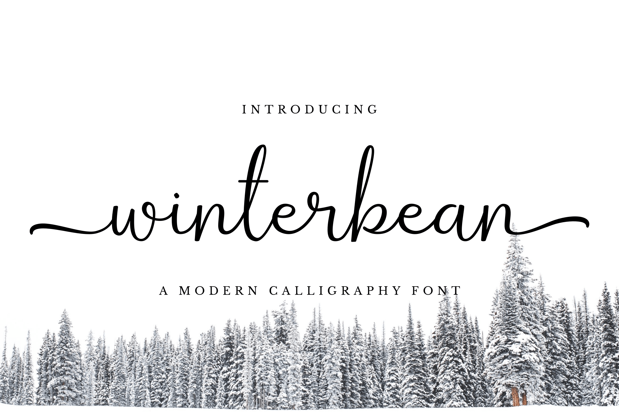 Winterbean - Modern Calligraphy Font product preview image by SibelumPagi